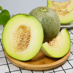 BAIGUOJING 百果精 海南网纹瓜 玫珑蜜瓜 8-9斤(2-4个)