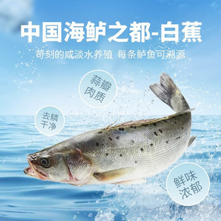 品珍鲜活 三去白蕉海鲈鱼净膛450g 珠海特产海鲜鱼类烧烤生鲜 核酸已检测