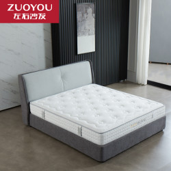 ZUOYOU 左右家私 DCW051 精钢弹簧护脊床垫 180*200cm