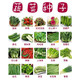 移动端：当季蔬菜种子10种蔬菜种子