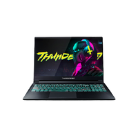 ThundeRobot 雷神 911 ME 暗杀星二代 15.6英寸 游戏本 黑色(酷睿i5-10750H、GTX 1650Ti 4G、8GB、512GB SSD、1080P、IPS)