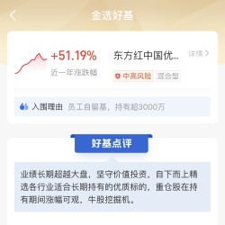 员工自留基 持有超3000万 东方红中国优势灵活配置混合