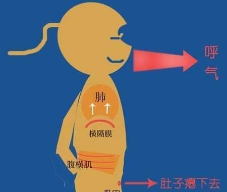 我们为什么会打嗝 什么值得买 我们为什么会打嗝 什么值得买