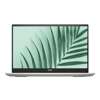 DELL 戴尔 灵越 5498 14.0英寸 轻薄本 绿色(酷睿i5-10210U、MX250、8GB、512GB SSD、1080P、IPS、60Hz、R1605M)