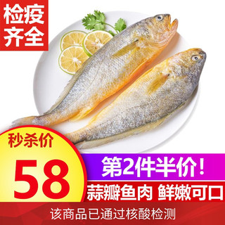 九善食  无公害宁德大黄鱼/黄花鱼 700g 2条 海鲜水产