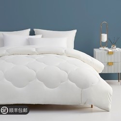 DAPU 大朴 A类抗菌磨毛吸湿纤维春秋被 150*210cm 3.2斤