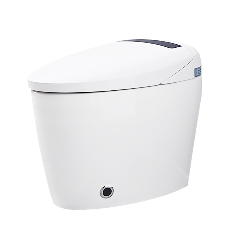 diiib 大白 dxd01002-1031 净爽抗菌智能马桶