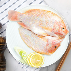 品珍鲜活 品珍文莱馆 生鲜鱼类三去净膛红星斑400-350g