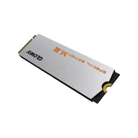 GLOWAY 光威 骁将系列 NVMe M.2 固态硬盘 1TB (PCI-E3.0)