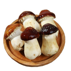 新鲜赤松茸姬松茸蘑菇菌菇食用菌菇煲汤火锅食材大球盖菇1000g
