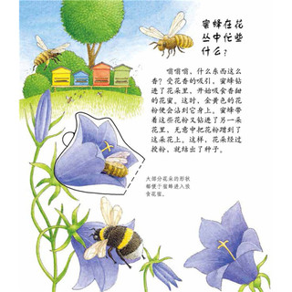 《妙趣科学立体书·10：植物的秘密》（幼儿版、精装）