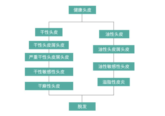 奢己 毛囊调理 植发养护