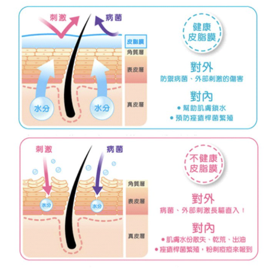 奢己 毛囊调理 植发养护