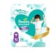 Pampers 帮宝适  清新帮 婴儿拉拉裤 L32