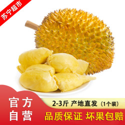 嘉琪果果 泰国进口榴莲(1个)2-3斤新鲜水果现摘特产 非金枕
