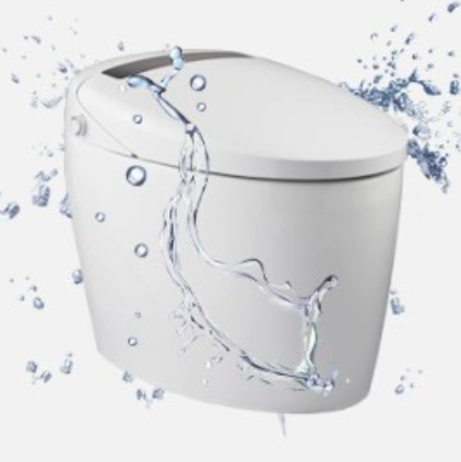 diiib 大白 DXD01002-1031/2002-1031 即热式智能马桶