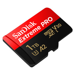 SanDisk 闪迪 Extreme PRO 至尊超极速系列 Micro-SD存储卡 1TB (UHS-I、V30、U3、A2)