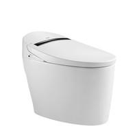 Haier 海尔 爱莎系列 H1-3013 即热式智能马桶 305mm坑距