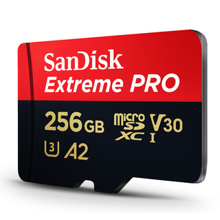 SanDisk 闪迪 Extreme PRO 至尊超极速系列 Micro-SD存储卡 256GB (UHS-I、V30、U3、A2)