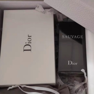 Dior 迪奥 旷野男士浓香水 EDP