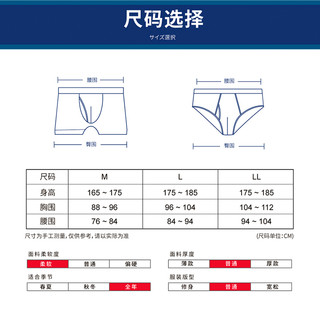 郡是 进口本体纯棉抗菌男士三角内裤日本郡是夏纯色短裤 纯棉中腰三角内裤｜灰色95｜YV0030N M