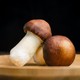 新鲜赤松茸1000g大球盖菇特产食用菌菇蘑菇煲汤火锅食材时令蔬菜