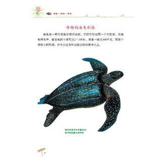 《自然博物馆·海龟·海蛇·海马》（彩图版）