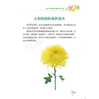 《自然博物馆·菊花·向日葵·雪莲》（彩图版）