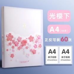 deli 得力 5176 文件夹 A4 30页/60张