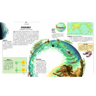 《探索·科学专题百科绘本：海底世界》