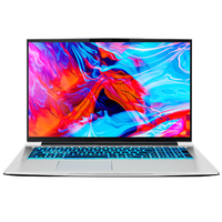 MACHENIKE 机械师 F117-X26 15.6英寸 游戏本 星空银(酷睿i7-10870H、RTX 2060 6G、8GB、512GB SSD、1080P、144Hz)