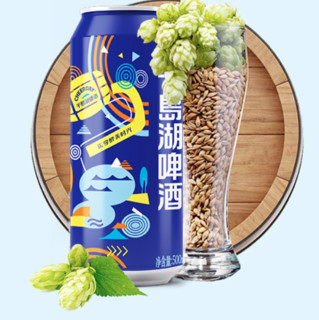 CHEERDAY 千岛湖啤酒 乐享醉美时光 啤酒 500ml*24听*2箱