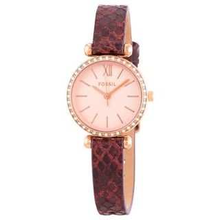 Fossil Tillie Mini 女士  手表 双色