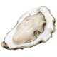 LONGSHAN OYSTERS 龙山白玉 精品生蚝 净重5斤 约20-25只