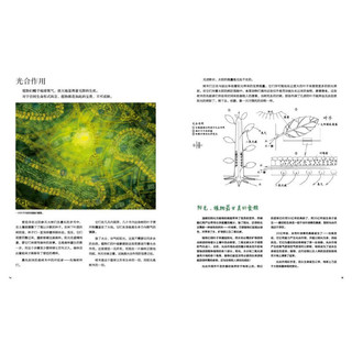 《从前有座森林》（精装）