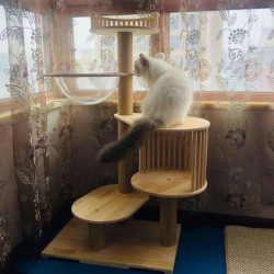 DAODANGUI 捣蛋鬼 捣蛋鬼实木猫爬架大型猫窝猫树一体太空舱自制多层木质猫咪跳台爬猫架子猫抓板