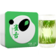 川红  明前特级芽头雀舌绿茶盒装 100g