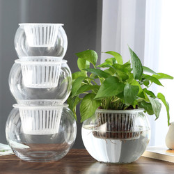 乐之沭 创意水培瓶植物透明玻璃花瓶容器绿萝花盆鱼花共养缸水养摆件器皿