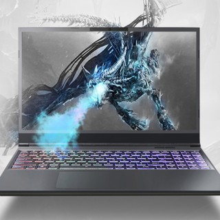 Shinelon 炫龙 T3Ti 15.6英寸 游戏本 黑色(酷睿i7-9750H、GTX 1660Ti 6G、8GB、512GB SSD、1080P、IPS）