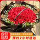 C·hui 初卉  33朵真爱玫瑰花束 （A款）