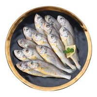 鲜城故事  国产速冻 白蕉海鲈鱼 1KG