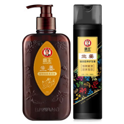 BAWANG 霸王 霸王(BAWANG) 生姜洗发水洗护套装强韧焕能洗发液400ml 霸王生姜强韧营养护发素450g
