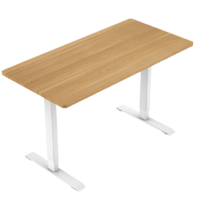 Loctek 乐歌 电动升降桌（桌板 1200×600mm 胡桃木色  升降桌腿标准款 银灰色）