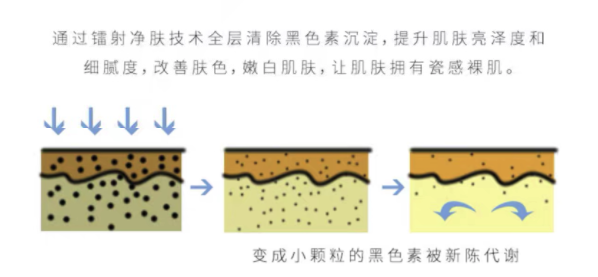 奢己 白瓷娃娃 限首单