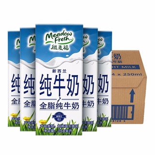 Meadow Fresh 纽麦福 新西兰进口牛奶 纽麦福 成人营养牛奶 全脂纯牛奶 250ml*24盒 整箱装