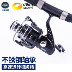 TEBEN 特奔渔具 特奔渔轮黑金刚海竿钓轮不锈钢轴承纺车轮鱼线轮海竿抛杆远投渔轮