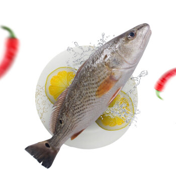 一大波芋泥炸弹来了芋泥狂魔请接好