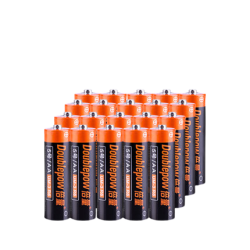 Double Power 倍量 碳性电池5/7号电池 20节装