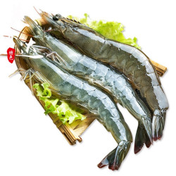 辣滋腊味 鲜活超大青虾 12-15cm 4斤