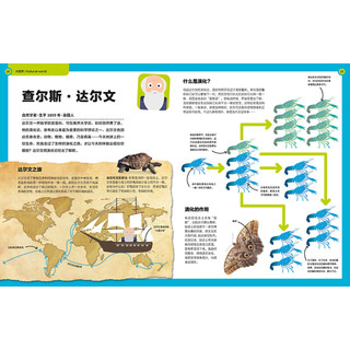 《DK职业探秘百科系列：科学家在做什么？》（精装）